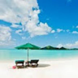 Meet your Posher, Denise